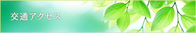 交通アクセス