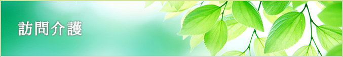 訪問介護