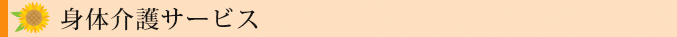 身体介護サービス